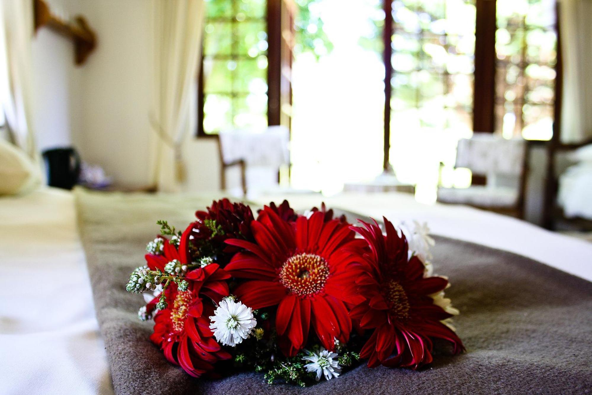 Storms River Guest Lodge Stormsrivier Δωμάτιο φωτογραφία