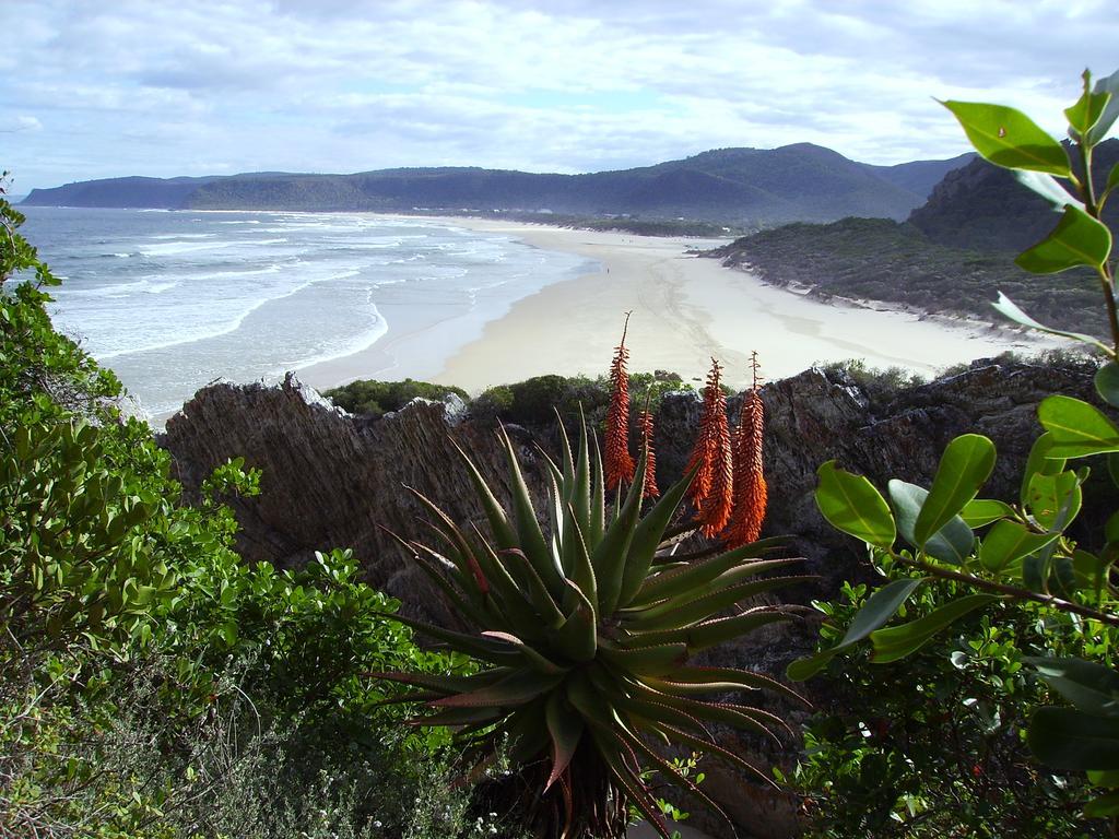 Storms River Guest Lodge Stormsrivier Εξωτερικό φωτογραφία