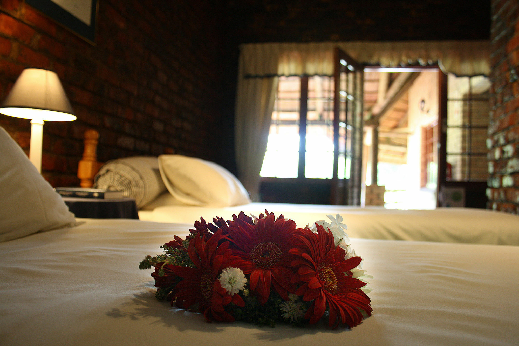Storms River Guest Lodge Stormsrivier Εξωτερικό φωτογραφία